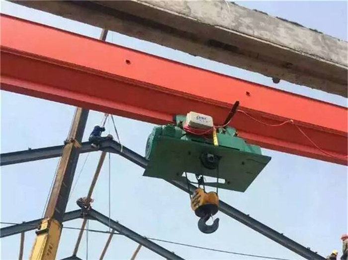 ldy single girder casting bridge crane6